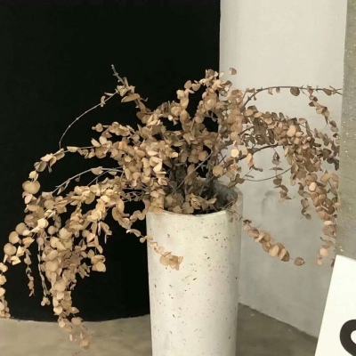 九江FurryQQ群介绍